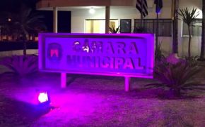 A Câmara Municipal de Iaras Adota IIuminação Cor de Rosa Durante o Mês de Outubro